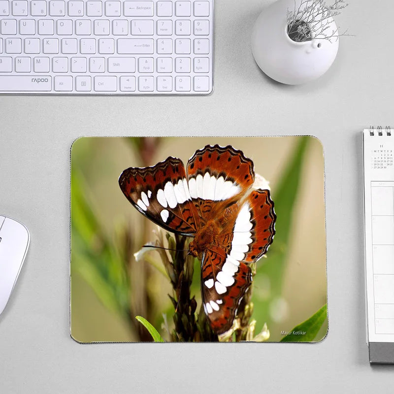 H684367bc61704ea686c6a15ea6203d9cC